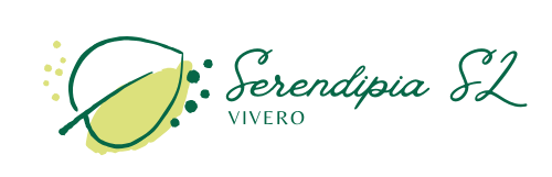 Serendipia SL